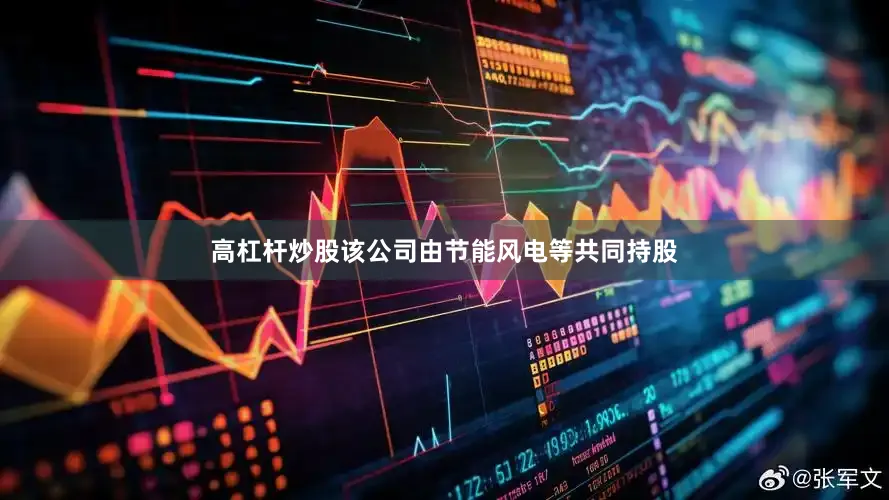 高杠杆炒股该公司由节能风电等共同持股