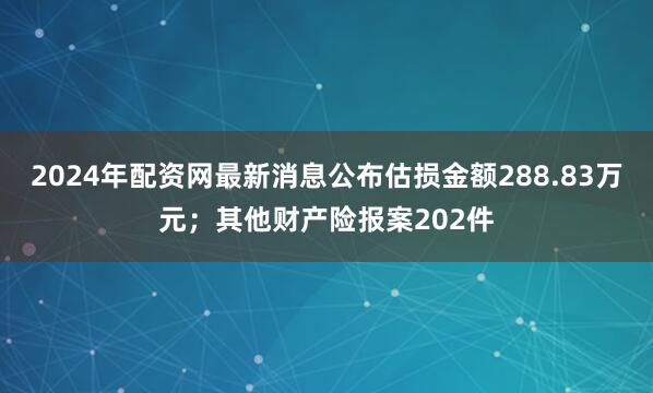 2024年配资网最新消息公布估损金额288.83万元；其他财产险报案202件