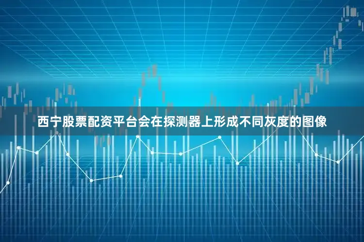 西宁股票配资平台会在探测器上形成不同灰度的图像