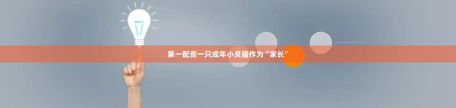 第一配资一只成年小灵猫作为“家长”